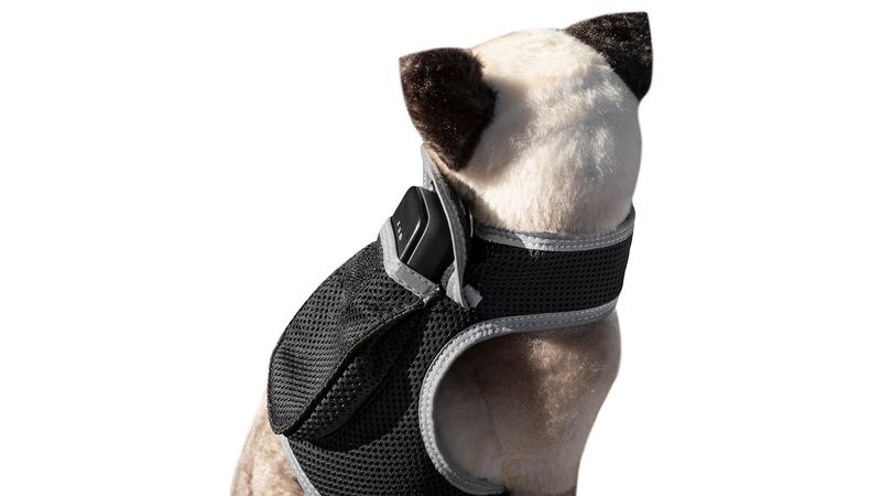 Cheap GSM GPS Animal Tracking Device Portable Realtime Location Finder Size:L_voghion.com