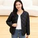 Round Neck Inner Jacke For Women Winer New Slim Fi Base V-Neck Solid Color Slimming Warm Shor Lighweigh Coon_voghion.com