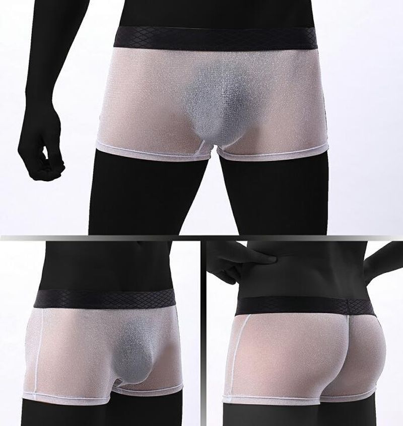 2025d Japanese And Korean GAY Men's Underwear Transparent Thin Mesh Ultra Elastic Low Waist Wide Edge Boxer Briefs Plus Size_voghion.com
