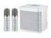 100W Peak High Power Portable Karaoke Bluetooth Speaker Wireless Microphone Suit Intelligent External Singing Equipment_voghion.com