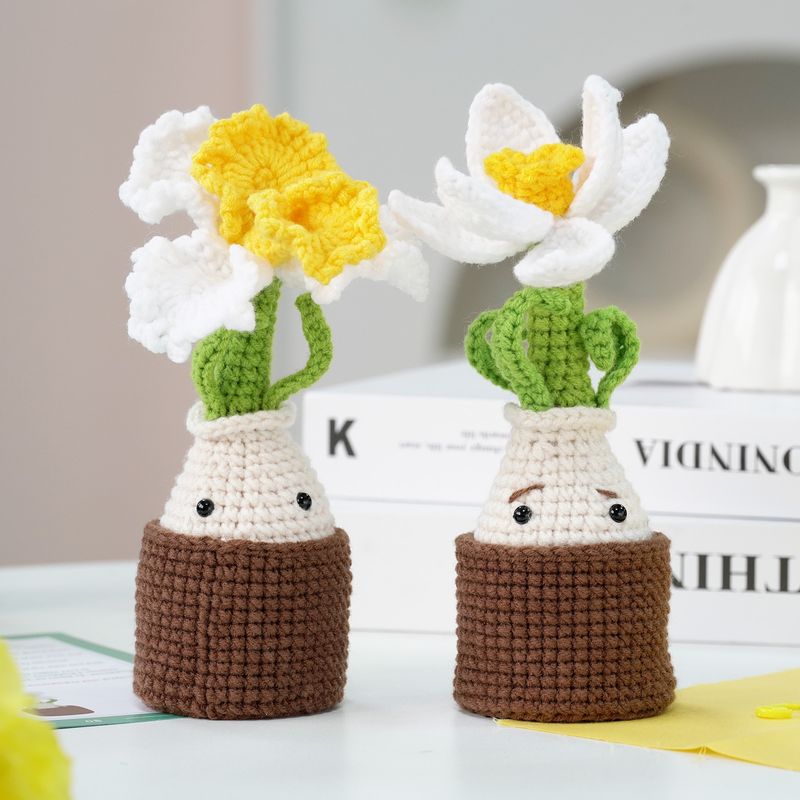 Manuel d'instructions en anglais Paquet de matériel de crochet Laine Tricot fait main Bricolage Iris blanc + Jonquille_voghion.com