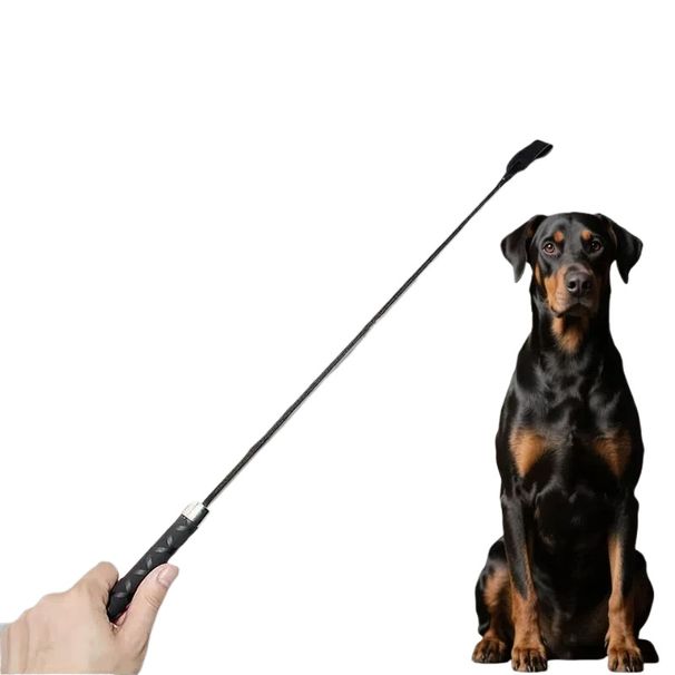 Animal Training Tool, Dog Defence_voghion.com