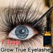 Seven Days Eyelash Fast Growth Solution Thicken Eyelashes Natural Curl Enlarge Eyes Eyelash Eyebrow Serum Cosmetics 2023 New_voghion.com