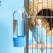 Bird Water Feeder Large Capacity Splash Proof Transparent Container Pet Parrot Hanging Food Dispenser Bird Supplies_voghion.com