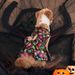 2024 Nuovo Halloween Pet Dog Clothes Zucca Pipistrello Ali Luminose Vestito_voghion.com