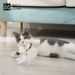 Giocattolo per gatti con ventosa Meow Fairy, durevole, sostituibile, con piume, filo d'acciaio, asta lunga_voghion.com