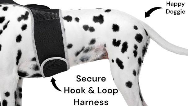 Anti-Loss Mini Animal GPS Tracker Waterproof Locator w/ Motion Detect Size:XXL_voghion.com
