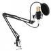 BM 800 Karaoke Microphones Professional Condenser Microphone with Stand Arm and Pop Filter for Computer Wired Studio /_voghion.com