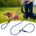 Durable Nylon Dog Leash By PawParty Store_voghion.com