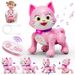 Flooyes Pets Cat, prezent dla chłopców i dziewczynek w wieku 3-12 lat, inteligentny robot STEM dla dzieci, interaktywna zabawka dla zwierząt z muzyką i tańcem_voghion.com