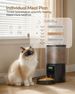 Futterautomat Katze Katzenfutter Automat Mit Timer: 10s-Ruf Zum Essen - Futternapf Mit Automatic Futterautomat 4L- Trockenfutter Futterspender Autom_voghion.com