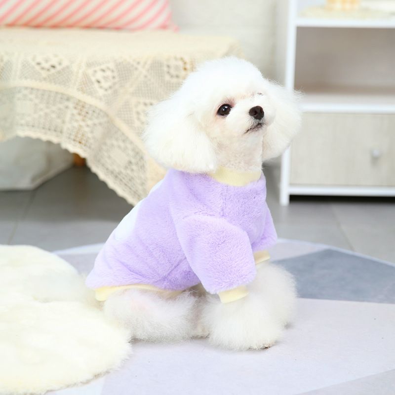 Dog Autumn/Winter New Teddy Cat Pet Clothes Winter 21 Three Flowers Rabbit Velvet_voghion.com