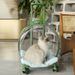 Trolley Case Portable Dog Travel Transparent Pet Space Checked Airline Box Cat Bag_voghion.com
