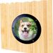 and Dog Special Pet Cat Door Transparent Semi-circular Acrylic Fence Window_voghion.com