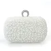 Borsa da sera con anello di perle, cucita a mano, con perline, da donna, di alta qualità, da sposa 240809_voghion.com