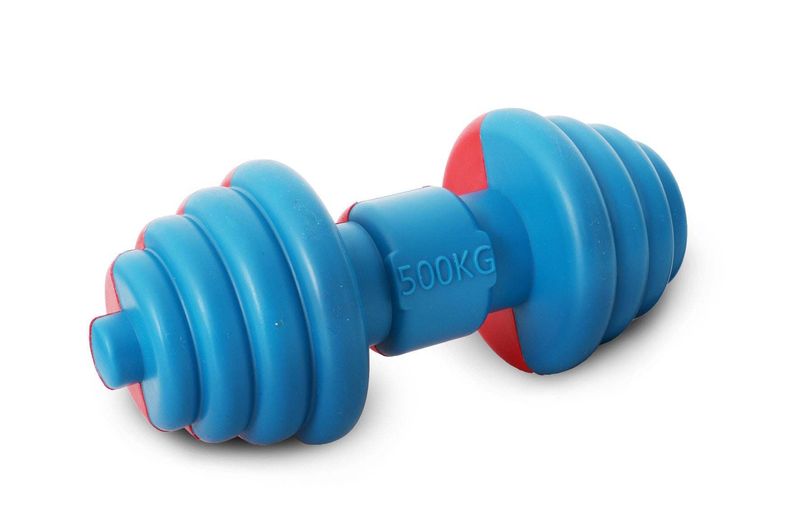Pet Life Iron-Wag Durable Water Floating Chew And Fetch Dog Toy_voghion.com
