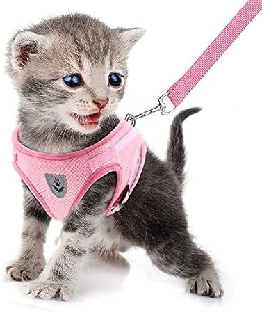 Katzengeschirr Geschirr Mit Leine Ausbruchsicher Weich Mesh Welpengeschirr Reflektierend Verstellbar Katzen Weste Für Kleine Hunde Katzen Chihuahua_voghion.com
