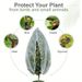 Garden Plant Cover With Drawstring & Zipper - Reusable Insect & Bird Protection Net For Vegetables Fruit Trees And Greenhouse (6x8ft White)_voghion.com