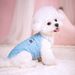 Dog Thin Cute Vest For Dogs, Puppy Breathable Chihuahua Clothes, Cat Vest, Pet Supplies By PawParty Store_voghion.com