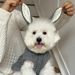 INS Korean Warm Pet Clothes Cape Shawl For Small Medium Dogs And Cats Teddy Autumn Winter Thickened_voghion.com