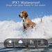 New Dog Training Device Remote Control Electric Shock Collar Warning Anti-Barking Pet Supplies_voghion.com
