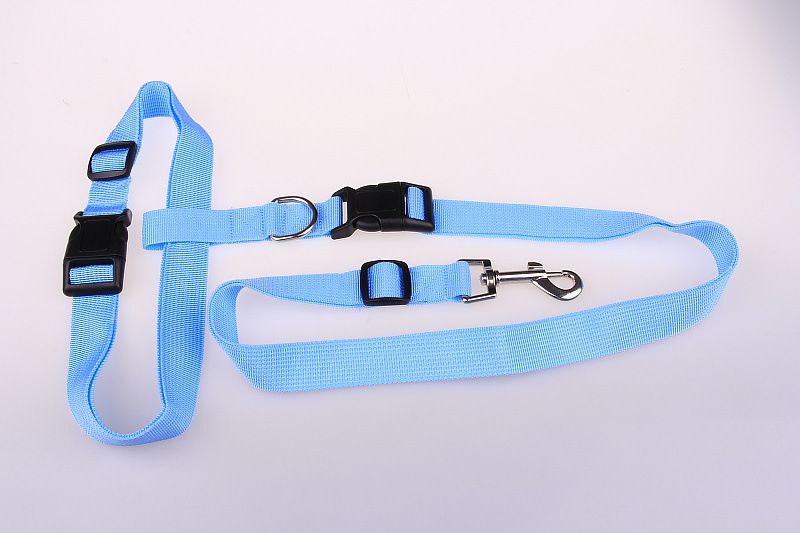 Pet Running Outdoor Leash Suitable For Morning Jogging Fitness Dog Walking_voghion.com
