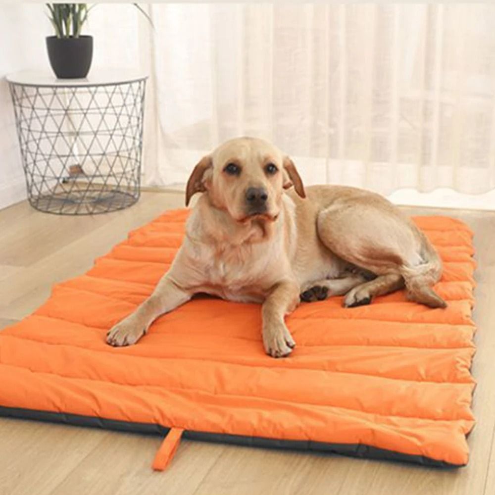 Bedding For Dogs Kennels Indoor Labrador Pet Products Beds And Houses Accessories Small Accessory Dog Large Beds Mats Kennel Bed_voghion.com