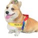 Corgi Shiba Inu Harness Set Walking Dogs, Explosion-Proof Leash For Small And Medium Dogs_voghion.com