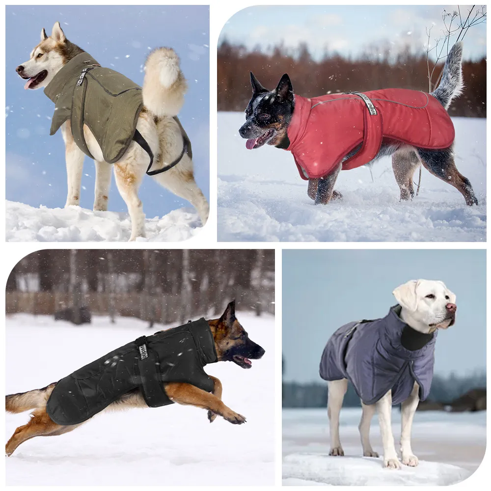 Vêtements transfrontaliers pour animaux de compagnie d'automne et d'hiver, veste réfléchissante chaude pour chien, vêtements rembourrés en coton imperméables et coupe-vent pour chien en stock en gros_voghion.com