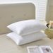 Nantong Hotel Pure Cotton White 2 Cm Satin Strip Pillow Core Feather Silk Cotton Pillow_voghion.com