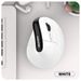 Digitex Digitex Shiny Silver Fox H5 Vertical Rechargeable 2.4G Wireless Bluetooth Dual Mode Mouse Business Office Computer Cross-Border_voghion.com