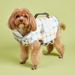 Summer New Pe-Specific Wings Life Jacke For Bichon Frise And French Bulldog Caroon High Buoyancy Oudoor Swimming_voghion.com