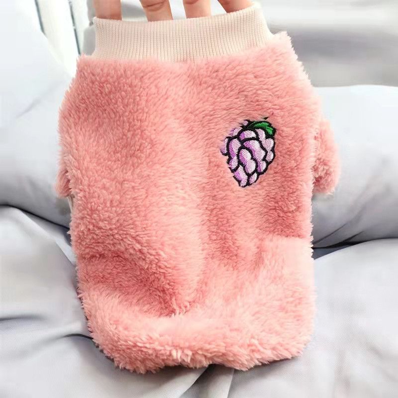 Herbst und Winter Haustier Hund Obst bestickt doppelseitig Plüsch warme Kleidung Katze Kleidung_voghion.com
