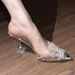 Transparente Damensandalen 2025 Sommer Neue Strass Weinglas Heels Soziale Berühmtheit_voghion.com