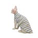 Gilet estivo a righe in puro cotone con aria condizionata, elasticità elevata, comodo, sottile, per gatti Sphynx Devon Rex senza peli_voghion.com