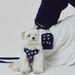 Korean INS 3D Embroidery Cute Bear Breathable Chest Harness Set Teddy Bichon Dog Outdoor Leash_voghion.com
