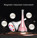 Macchina per lifting facciale microcorrente Dispositivo professionale per lifting e rassodamento del viso Strumento per massaggio facciale Rollor Cura della pelle_voghion.com