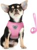 Katzengeschirr Geschirr Mit Leine Ausbruchsicher Weich Mesh Welpengeschirr Reflektierend Verstellbar Katzen Weste Für Kleine Hunde Katzen Chihuahua_voghion.com