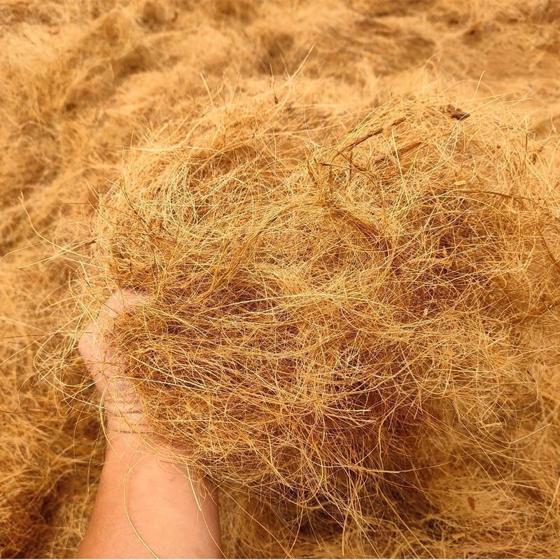 【 1509 persone elogiate 】 Biancheria da letto in seta di palma da cocco naturale di Hainan, fiori da orto, piante in vaso, decorativi_voghion.com