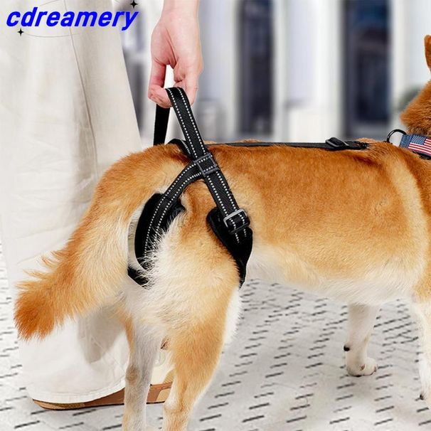 Imbragatura per cani per zampe posteriori, strisce riflettenti, imbracatura di supporto per fianchi regolabile e confortevole, imbracatura con maniglia robusta, imbracatura per cani_voghion.com