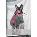DUOMASUMI Sphynx Hairless Cat Clothes Devon Rex Clothing Autunno Inverno Giacca calda foderata in pile per gatti per cani di piccola taglia Felpa con cappuccio per gatti_voghion.com