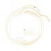 Women's Gold And Silver 2-piece Snake Bone Chain Disc Chain Waist Chain Simple Daily Versatile Navel Chain Tide_voghion.com