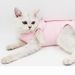 Post-Surgery Recovery Suit For Cats - Breathable Anti-Lick Spay Garment With Stretch Design_voghion.com