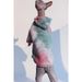 DUOMASUMI Sphynx Hairless Cat Clothes Devon Rex Clothing Autunno Inverno Giacca calda foderata in pile per gatti per cani di piccola taglia Felpa con cappuccio per gatti_voghion.com