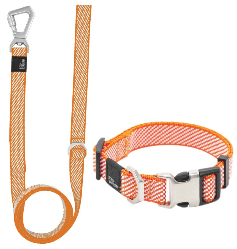 Pet Life 'Escapade' Outdoor Series 2-in-1 Convertible Dog Leash and Collar_voghion.com