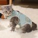 CDDMPET Sterilization Vest For Cats By PawParty Store_voghion.com