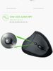 Vertical Left-Handed For Home Small Girl Wireless Mouse_voghion.com