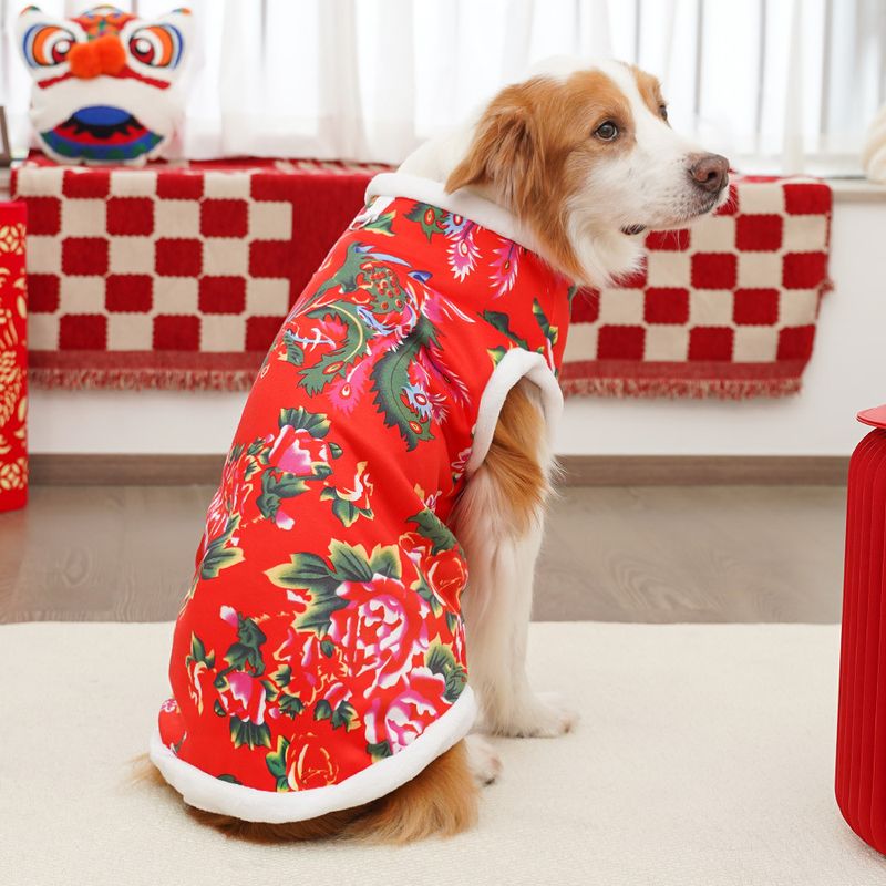 chiens, animaux de compagnie, chats, vêtements de Nouvel An en peluche d'automne et d'hiver, fournitures vestimentaires, Northeast Big Flower Dragon, corgi Golden_voghion.com