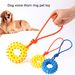Guangying Dog Training Toy Built-in Sounder Cartoon Style Scratch-resistant Pet Puppy Chew Squeaker Sound Toys For Reassurance_voghion.com