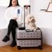 Pet Trolley Cat Capacity Two Medium And Large Pets Outgoing Bag Transparent Travel Box Portable Dog_voghion.com